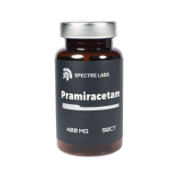 Pramiracetam Pramiracetam